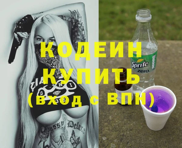 индика Вязьма