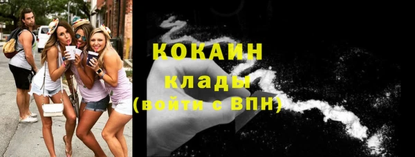 крисы Вяземский