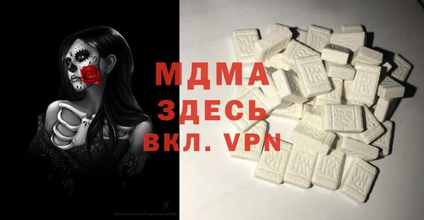 индика Вязьма