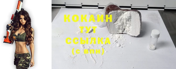индика Вязьма