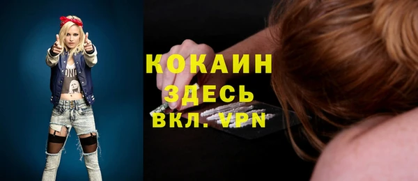 индика Вязьма