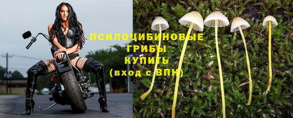 крисы Вяземский