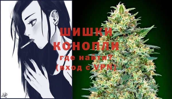 индика Вязьма