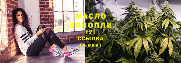 твердый Гусев