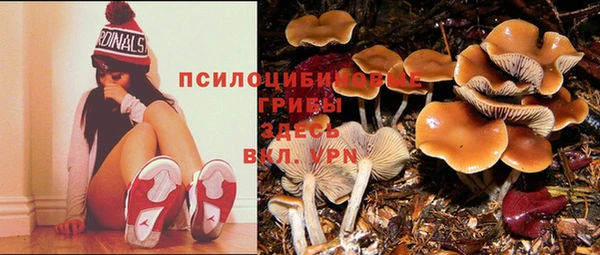 МДПВ Вязники