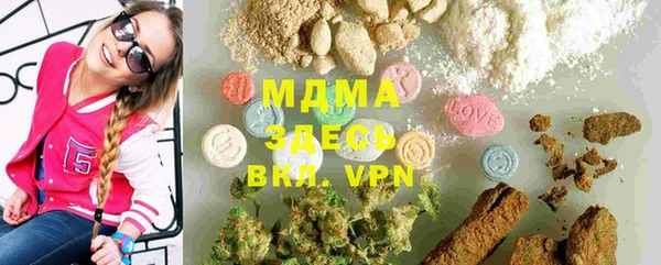 индика Вязьма