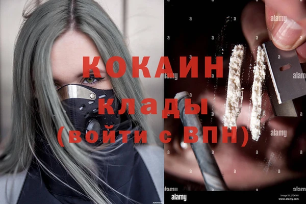 индика Вязьма