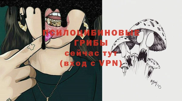 молекула духа Волосово