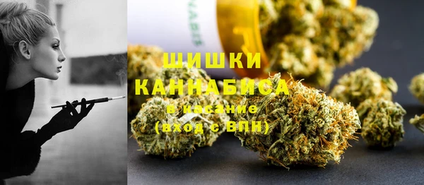 индика Вязьма