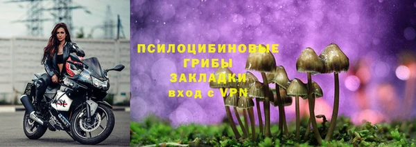 крисы Вяземский