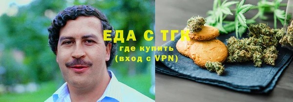 индика Вязьма