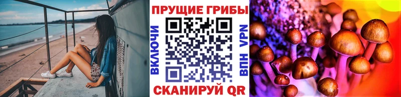 Галлюциногенные грибы Magic Shrooms  как найти наркотики  Заполярный 
